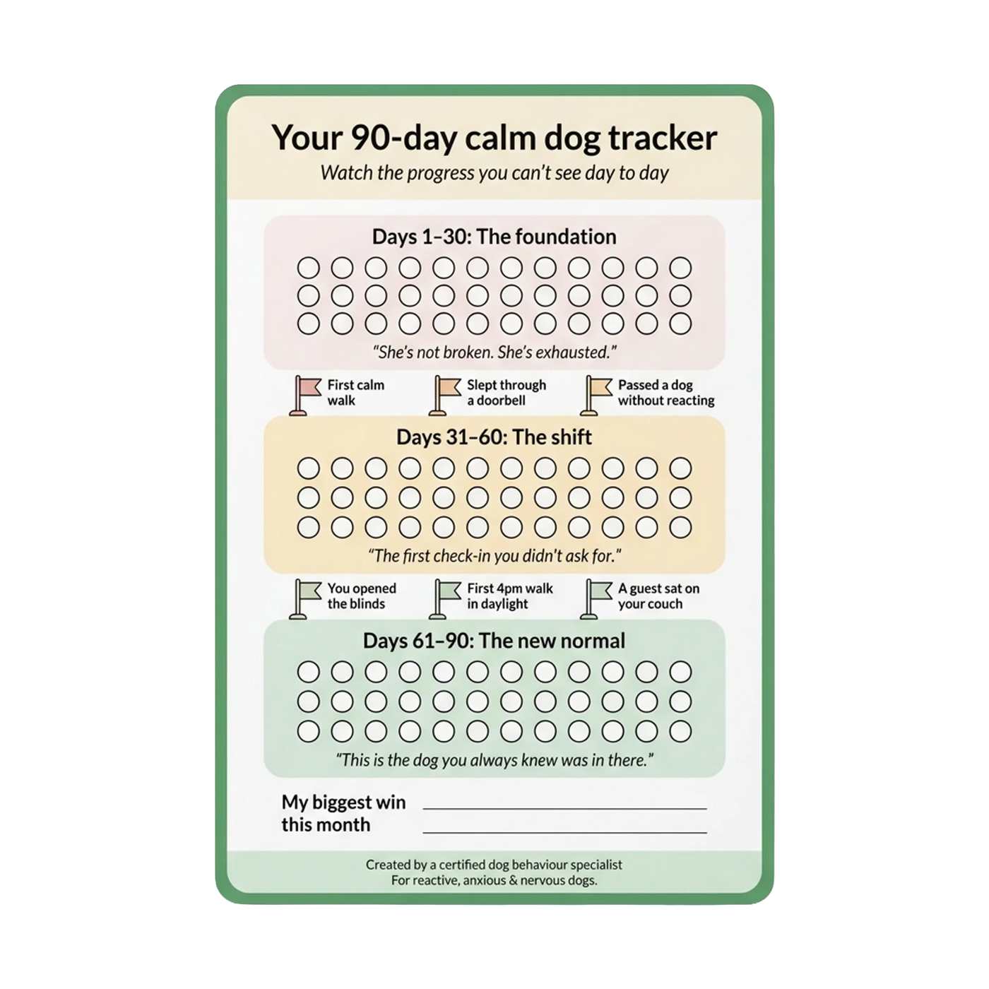 90-Day Progress Chart