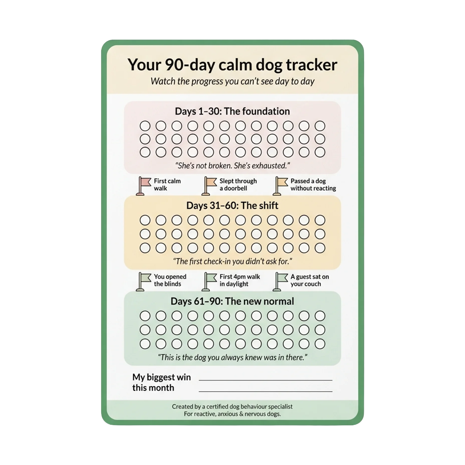 90-Day Progress Chart